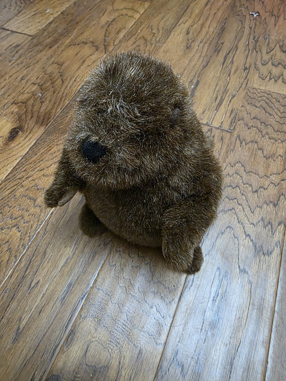 Groundhog Stuffed Animal Douglas